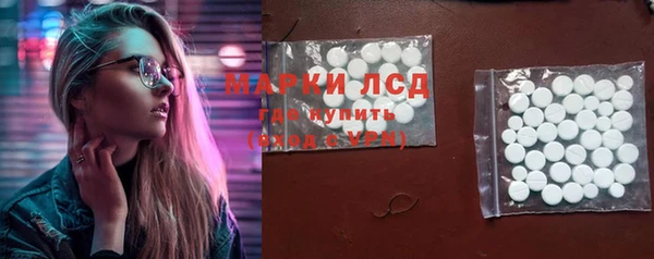 сатива Балахна