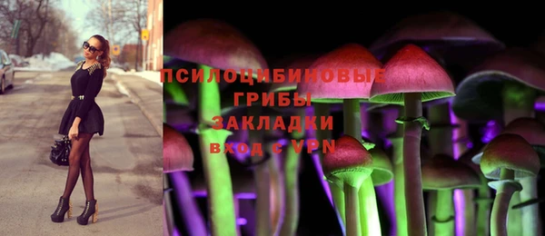 сатива Балахна