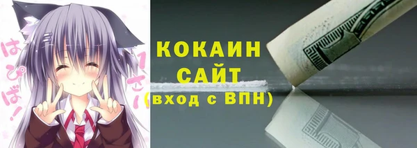 сатива Балахна