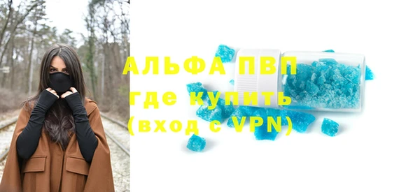 сатива Балахна