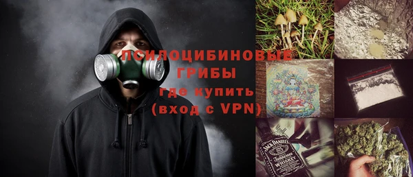 сатива Балахна