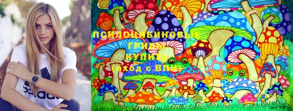 сатива Балахна