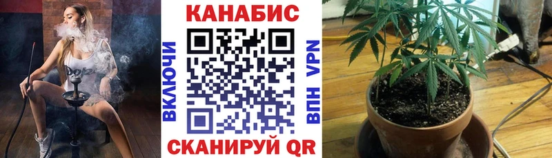 OMG   Черемхово  Бошки марихуана White Widow  как найти  
